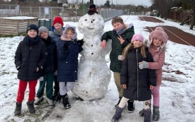 Zimowe aktywności