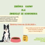 Zbiórka karmy dla zwierząt ze schroniska