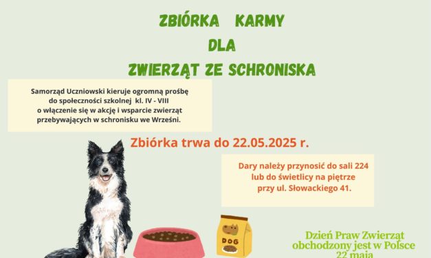Zbiórka karmy dla zwierząt ze schroniska