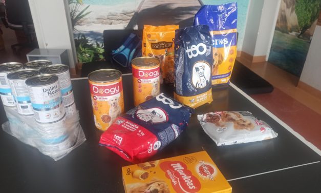 Zbiórka do schroniska 2025