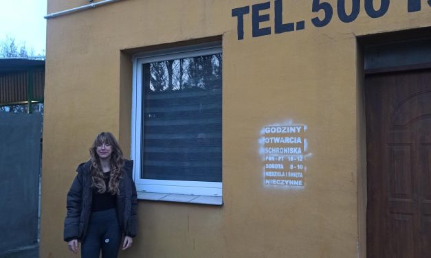 Przekazanie darów do schroniska dla zwierząt