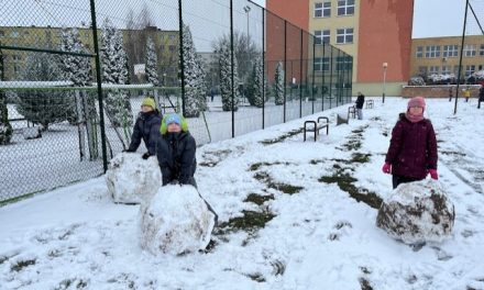 Zabawy na śniegu!