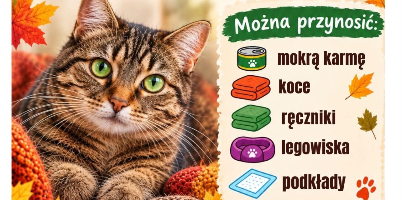 Zbiórka na rzecz podopiecznych Wrzosowej Kotlandii