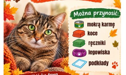 Zbiórka na rzecz podopiecznych Wrzosowej Kotlandii